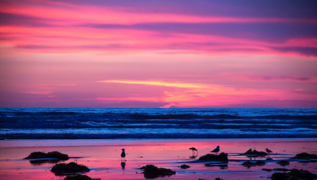 Encinitas Beach Sunset