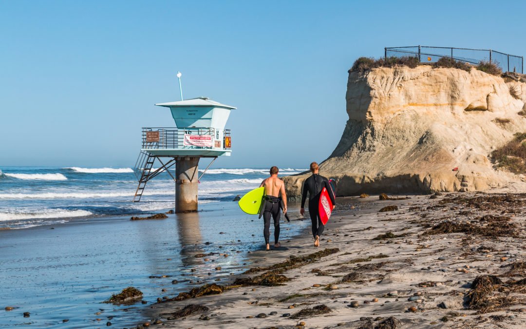 Cardiff Real Estate Spotlight (Everything You Need To Know About Cardiff)