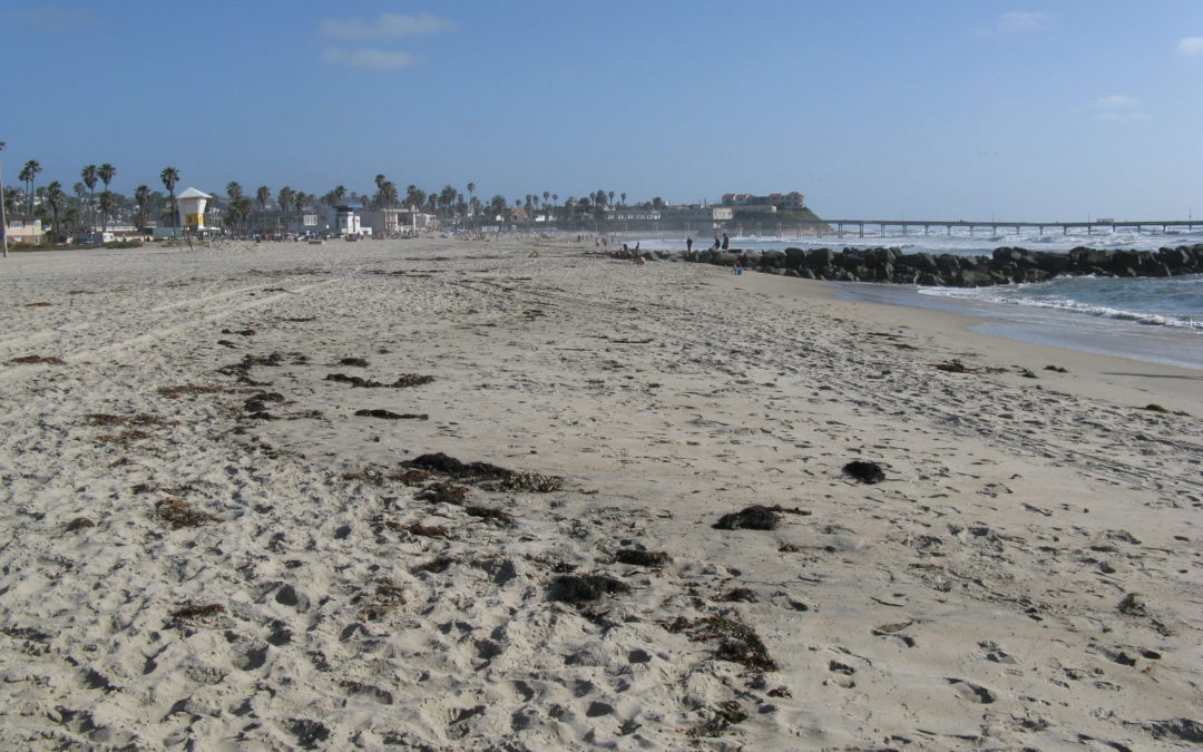 Ocean Beach San Diego Real Estate Spotlight