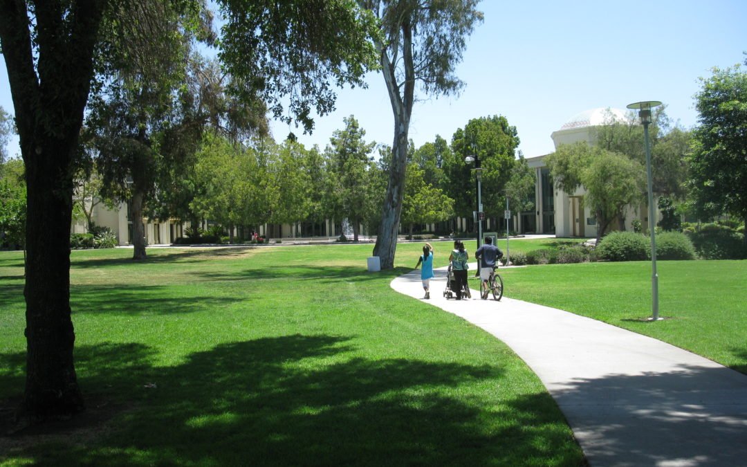 Rancho Rincon Del Diablo Real Estate Spotlight