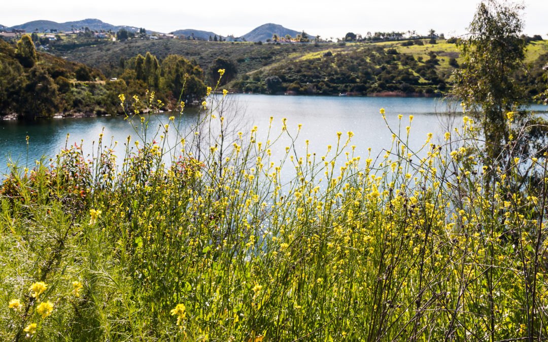 Lakeside CA Real Estate Spotlight