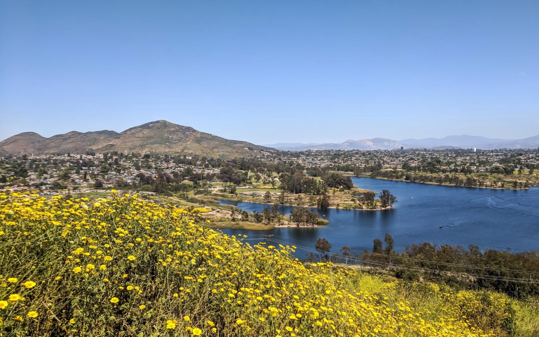 Lake Park La Mesa Real Estate Spotlight