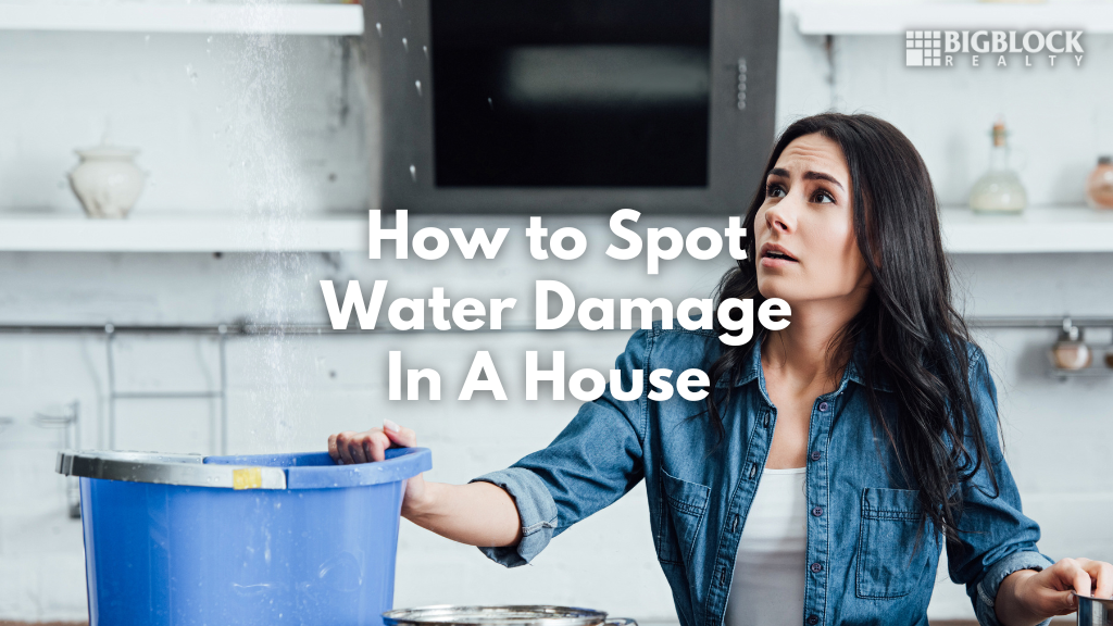 How to Spot Water Damage In A House